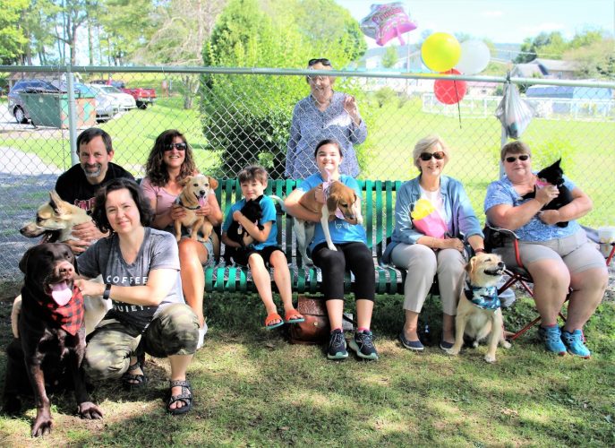 It’s a Dog’s World News, Sports, Jobs The Express